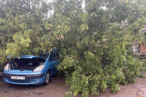 Последствия урагана в Беларуси на выходных: несколько жертв, сорванные крыши, порванные линии электропередач