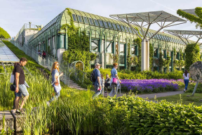 Урбанистика тоже может быть зеленой, или Как разбить настоящий ботанический сад на крыше библиотеки