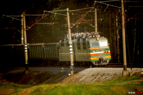 Как на БелЖД отреагировали на предложение сверху о замене беларуских железнодорожников мигрантами