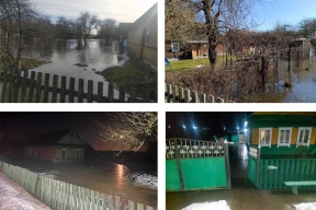 Фотофакт. Снежная зима сменилась весенним паводком. Подтоплены 11 районов Беларуси